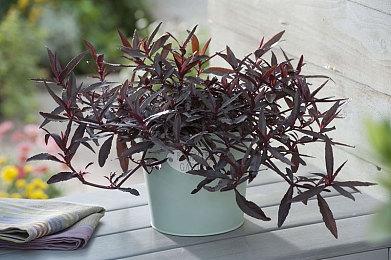 《三角洲行动》枪械研发纪录片 未来加入国产装备武器