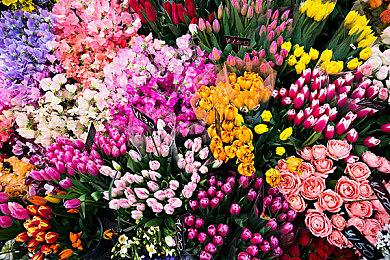 《骑士精神2》本周已上线Steam野豹加速器618白嫖捡漏